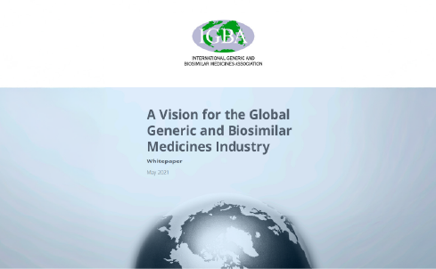 IGBA Vision Report