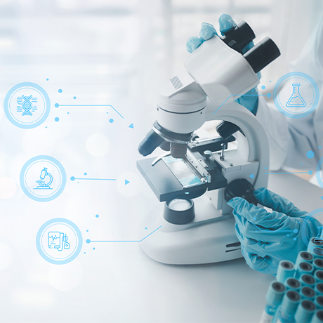 Enabling Regulatory Landscape