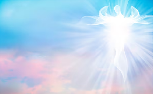 IPA Monthly Newsletter – August 2023